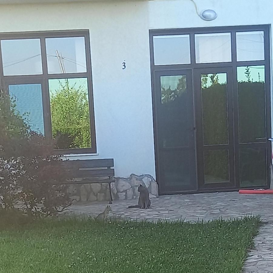 Villa Ketli Apartment Bliznatsi Exterior foto